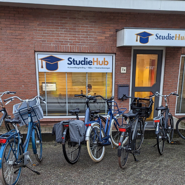 Collection of  in a gallery layout