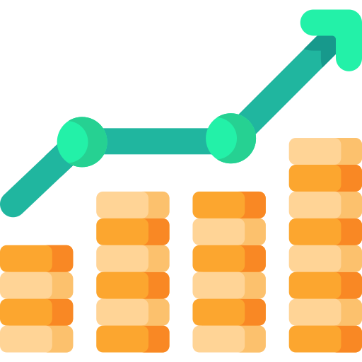 Havo: Economie